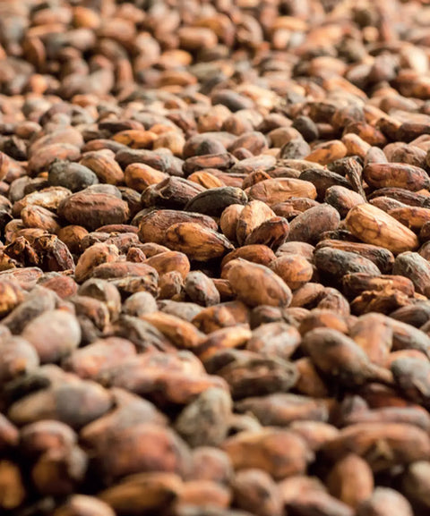 SUPERFOOD: Cioccolato fondente — perché ricopre le nostre Foodbar?