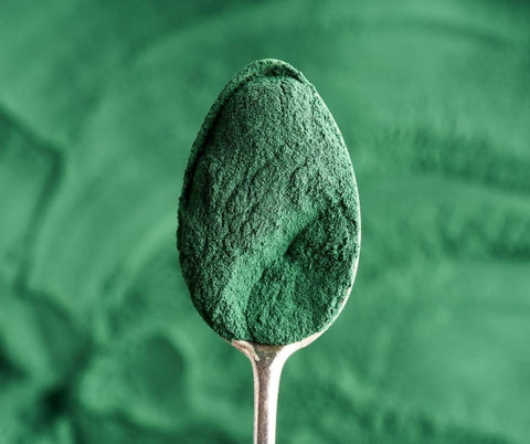 Spirulina: cos’è e perché la usiamo nell’Estratto Detox Babasucco
