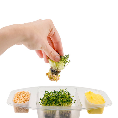 CiboCi Diet Pro