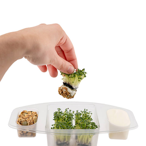 CiboCi Microbiome Symbiotic