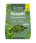 Planet Farms Lattuga Gentile