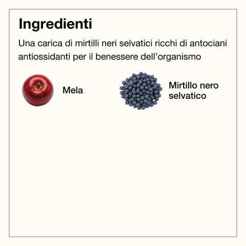 ESTRATTO MIRTILLO 250 ml - 6 PZ