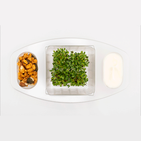 CiboCi Microbiome Symbiotic