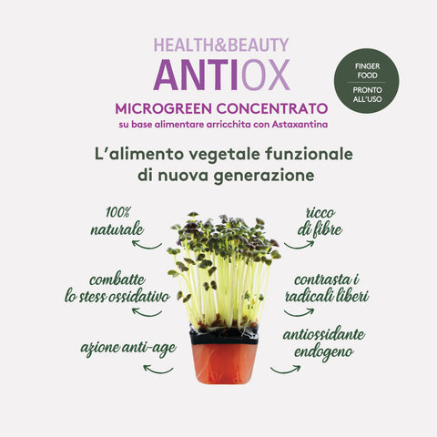 CiboCi Antiox Regeneration